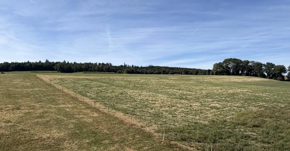 Nuovo a Lussy (FR) – foto 21 di 21