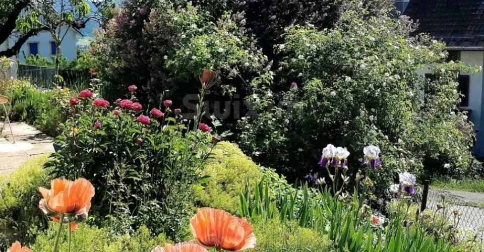 Maison individuelle avec un beau jardin – photo 12 sur 14