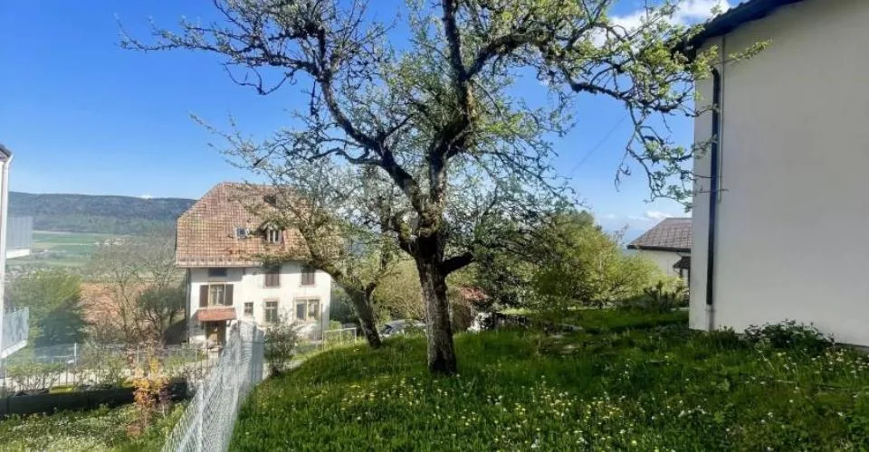 Maison individuelle avec un beau jardin – photo 14 sur 14