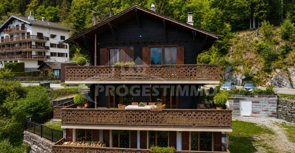 MAGNIFIQUE CHALET AUX VOLUMES EXCEPTIONNELS ET FORT POTENTIEL – photo 11 sur 26