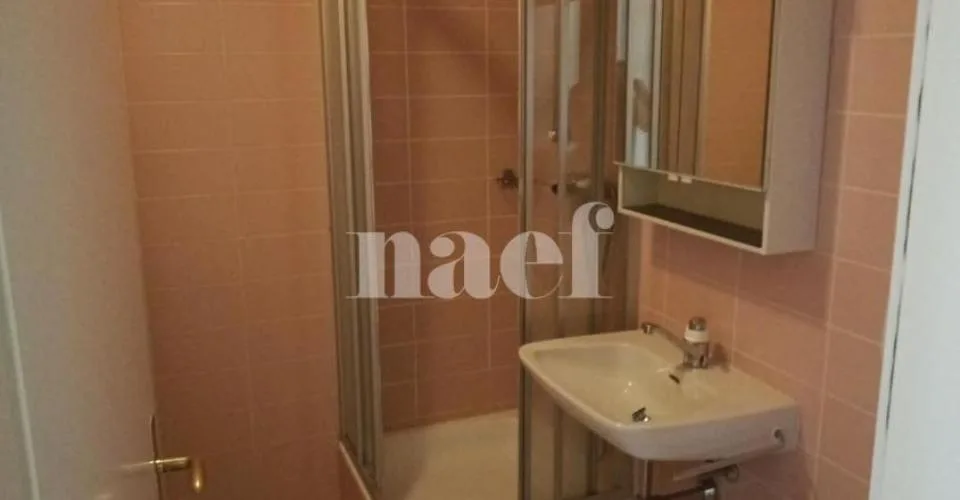 Wohnung mit 5 Zimmern und großem Balkon in Carouge – Foto 8 von 20