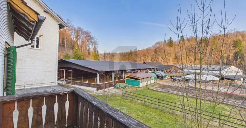 11 Zimmer Mehrfamilienhaus in Abtwil SG – Foto 6 von 12