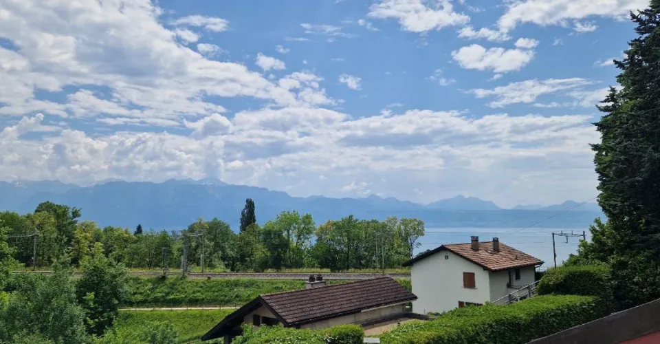 Appartement 4.5 p avec jardin et vue sur les Alpes. Dernier lot – photo 6 sur 21