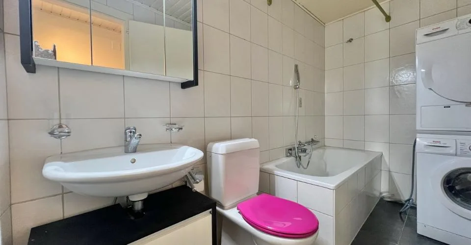 Appartamento atipico grande 2,5 locali con grande terrazza – foto 7 di 18