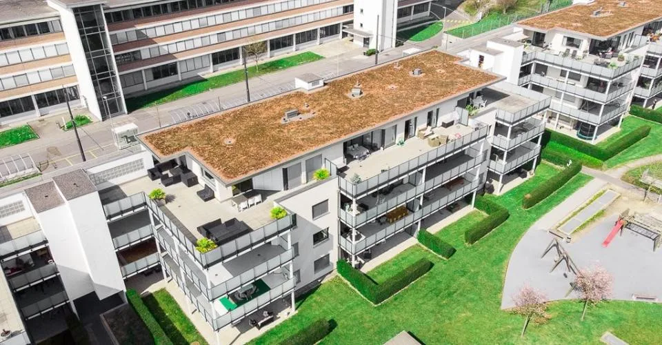 Wohnung mit Aussicht ins Grüne sucht Single!