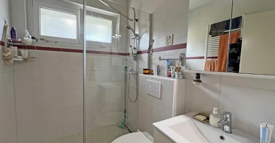 Individual villa with 7.5 rooms, 2 possible apartments – photo 21 of 26