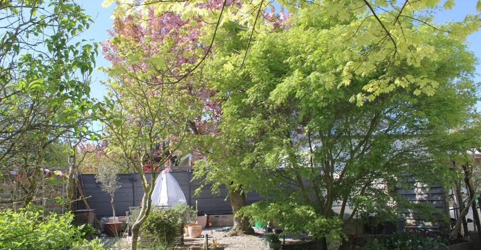Villa individuale di 5 locali in un'oasi di verde – foto 26 di 26