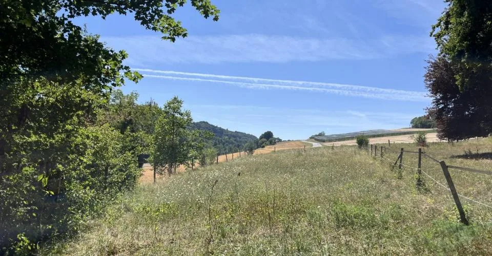 Für Heimwerker und NaturLiebhaber – Foto 12 von 18