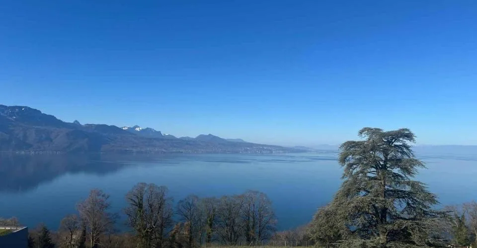 RARE ! 2.5 p avec grand balcon - Dernier étage - Vue plongeante sur le Lac – photo 3 sur 24