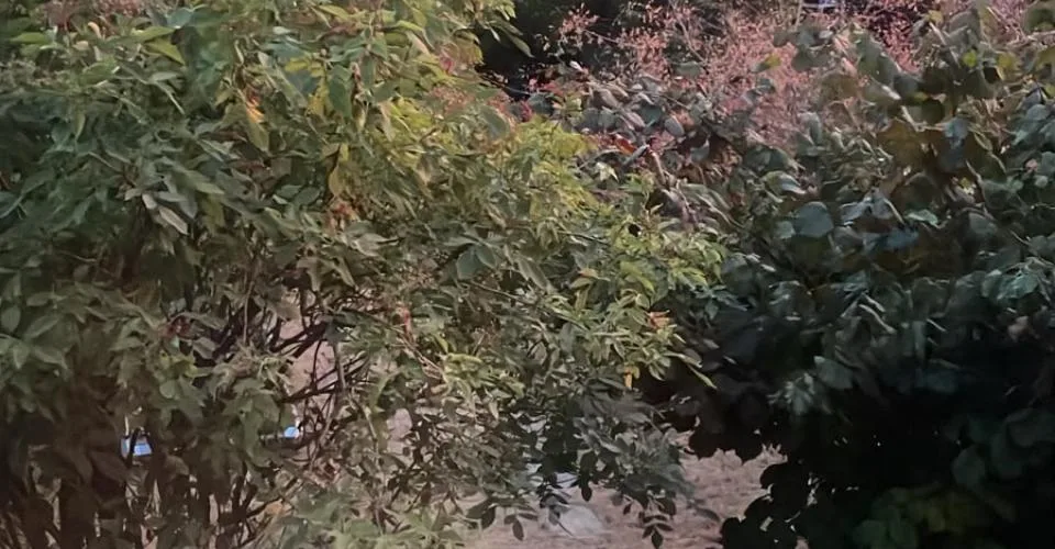 Cudrefin (à deux pas du Lac), très belle villa mitoyenne de 5,5 pièces avec jardin – Foto 19 von 37