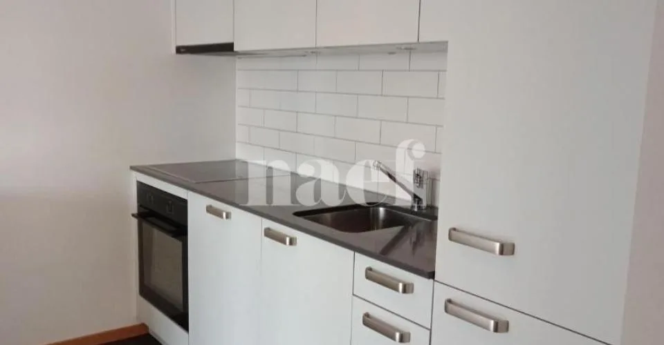 Duplex de 3 pièces près de la gare de Genève – photo 4 of 14