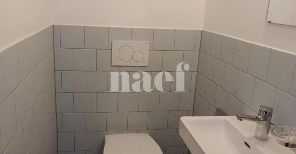 Duplex de 3 pièces près de la gare de Genève – photo 7 of 14