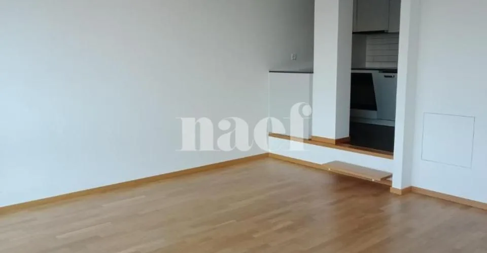 Duplex de 3 pièces près de la gare de Genève – photo 3 of 14