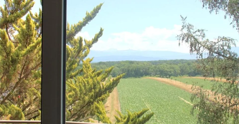 Magnifique appartement récent de 4.5 pièces aux combles à Eysins – photo 17 sur 21