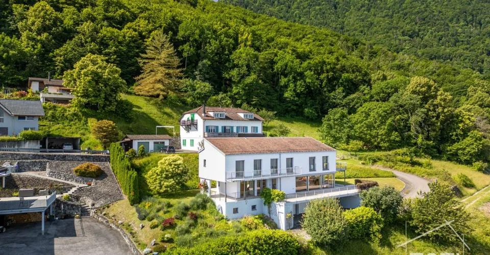 Villa dell'architetto 7,5 locali con vista sul Lago di Ginevra - St-Gingolph, ascensore – foto 20 di 30