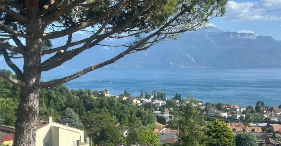 Le lac, les vignes et Lutry à vos pieds! – photo 4 sur 16