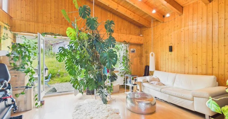 Casa familiare idillica con giardino soleggiato e piscina a Trogen AR – foto 19 di 28