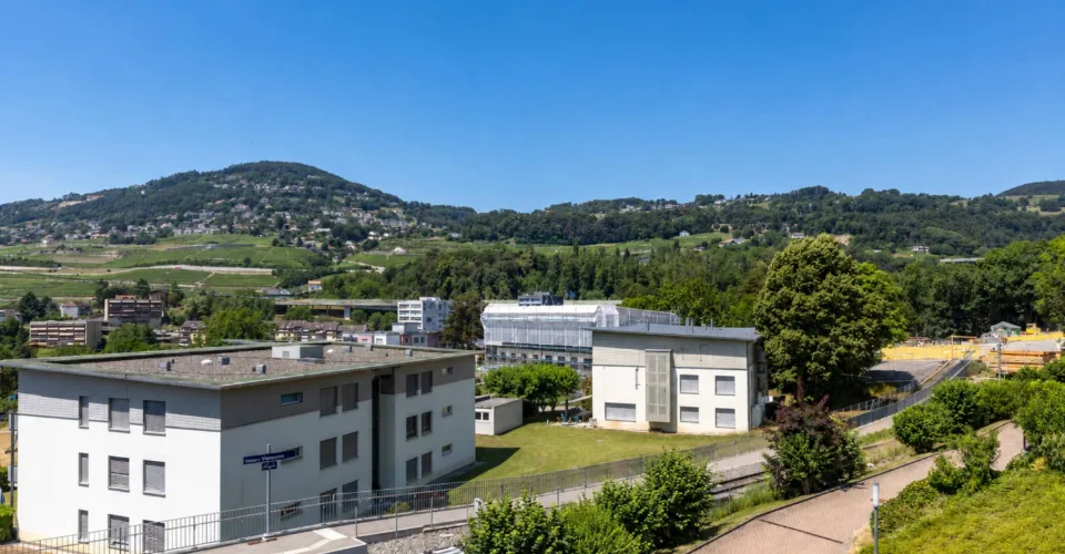 Ampio appartamento di 4,5 locali in un ambiente calmo e verde – foto 20 di 46