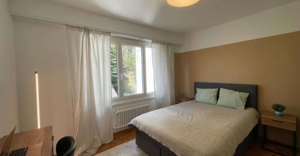 1 Zimmer möbl. Wohnobjekt in Lausanne – foto 14 di 58