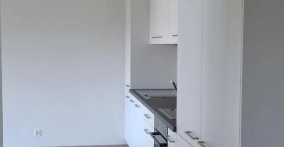 A Louer Appartement 2,5 Pièces Neuf Rue des Verdelets 4 Ardon