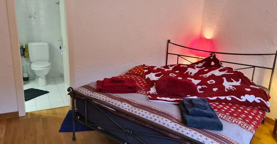 4 Zimmer Wohnung in Chermignon – Foto 29 von 33