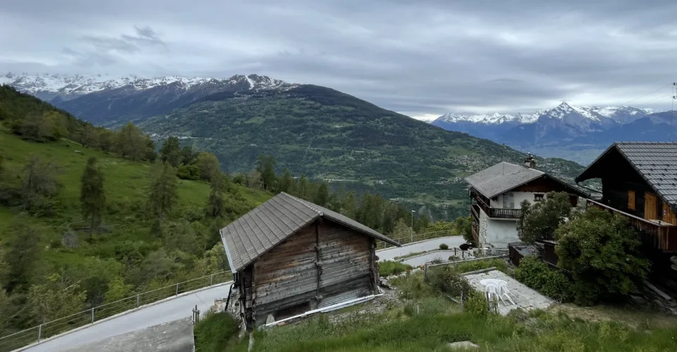 Authentique Mayen valaisan à 1321 m d'altitude cherche acquéreur – photo 3 sur 6
