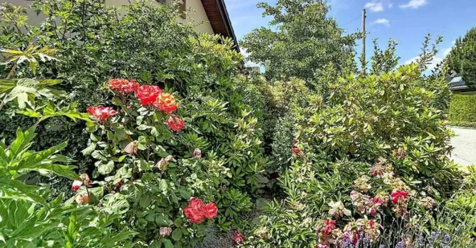 Grande maison individuelle dans son écrin de verdure – foto 13 di 25