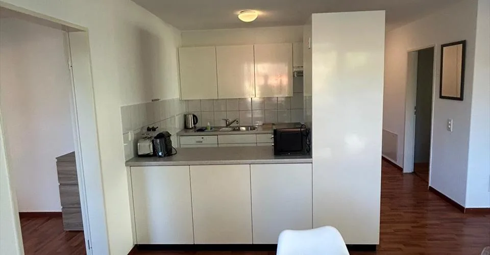 Neugasse 83 – Spacieux appartement 3 chambres récemment meublé au cœur de Zurich ! – foto 3 di 5