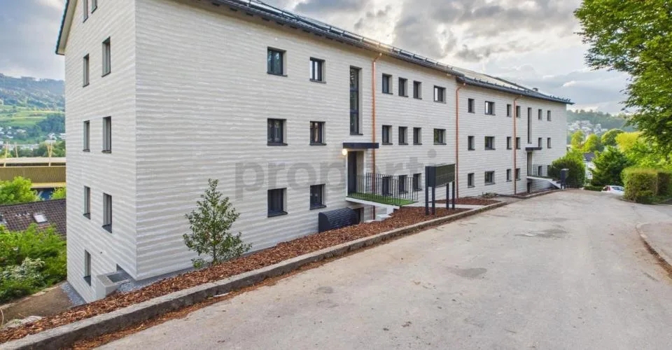 Neu renovierte 1.5-Zimmer-Apartment mit Kellerraum, Luzern