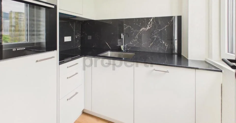 Neu renovierte 1.5-Zimmer-Apartment mit Kellerraum, Luzern
