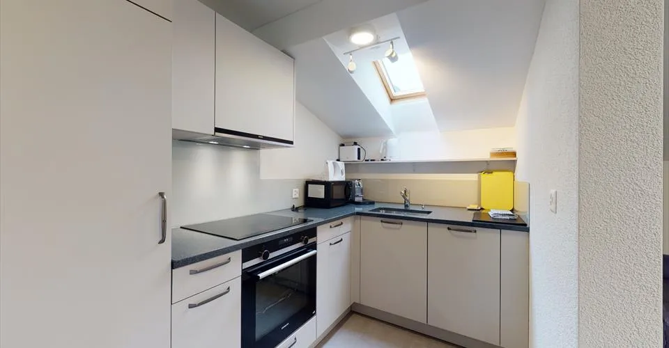 Magnifique appartement à Gersau, vue sur le lac des Quatres Cantons