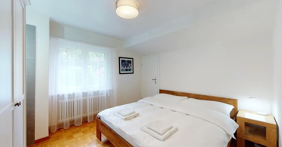 Magnifique appartement à Gersau, vue sur le lac des Quatres Cantons