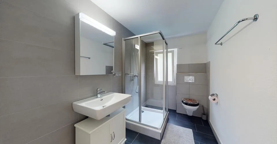 Magnifique appartement à Gersau, vue sur le lac des Quatres Cantons