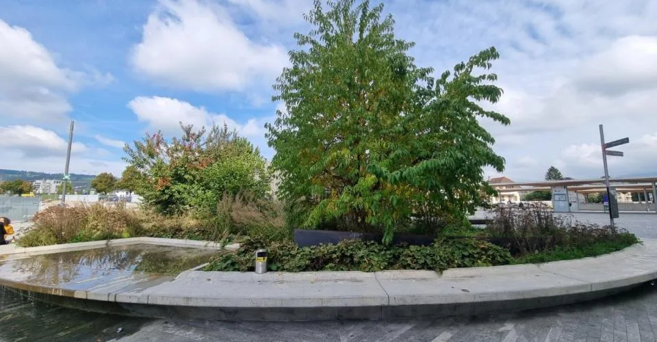 Magnifique et spacieux 2,5 pièces de 66 m2