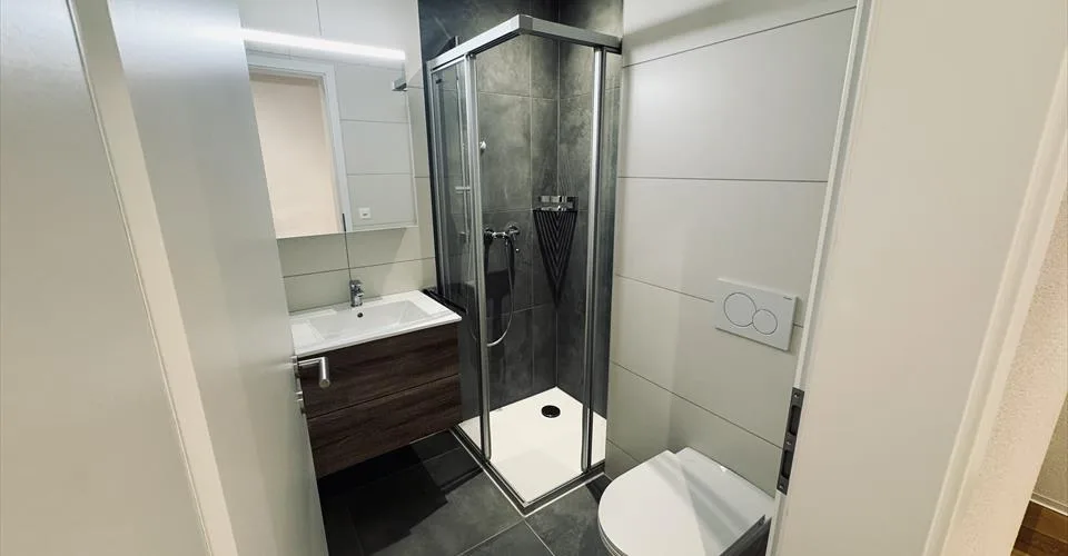 Magnifique triplex de 3 pièces !