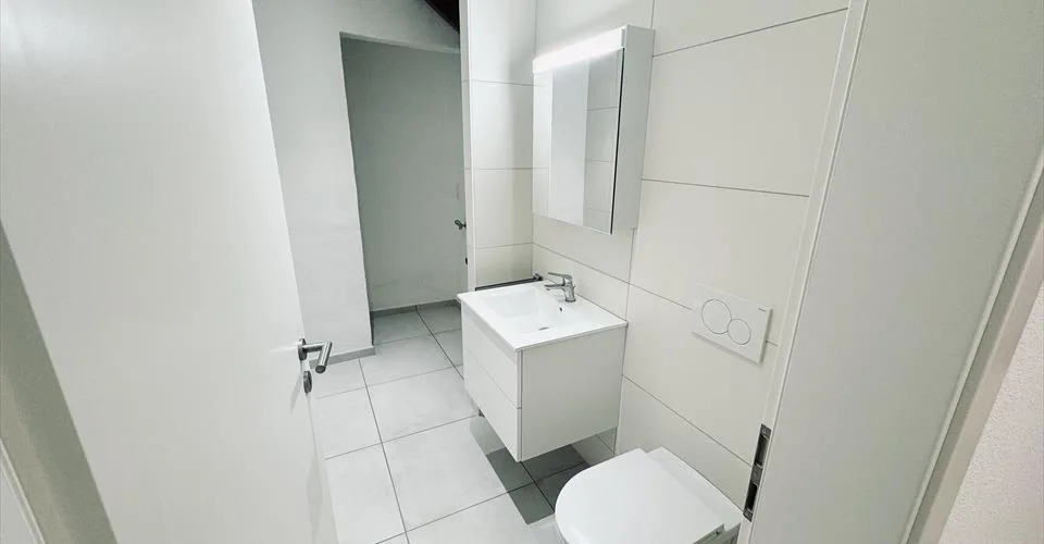 Magnifique triplex de 3 pièces !