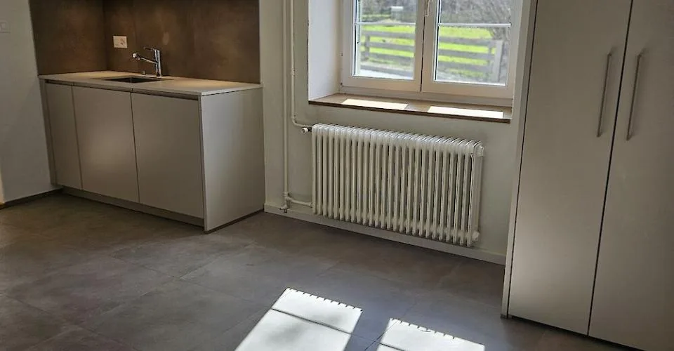 Maison à la campagne près de Düdingen