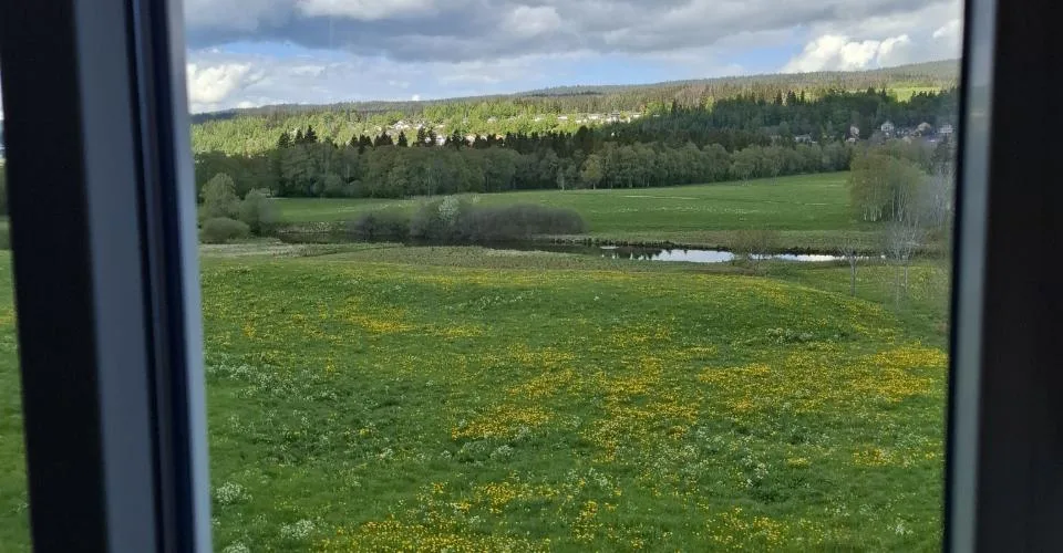 Spacieux et lumineux 4.5 pièces au calme