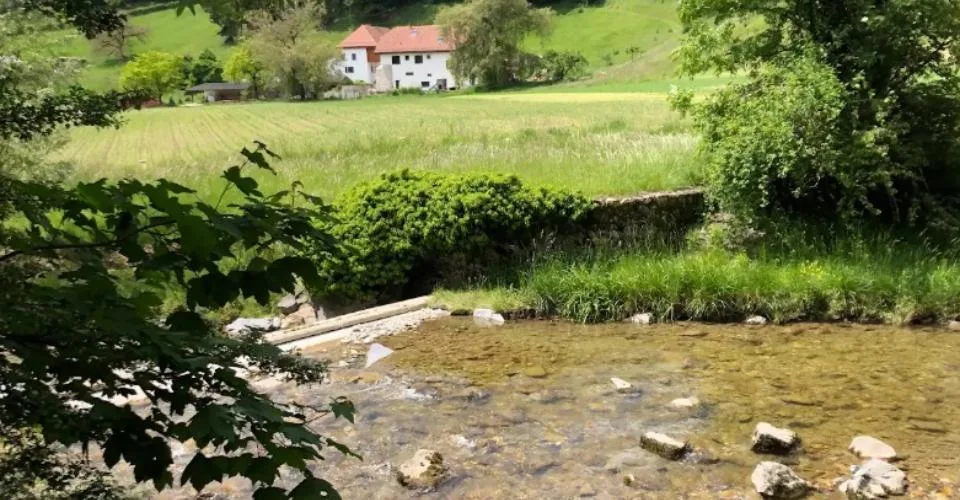Ferme rénovée à proximité de La Côte International School (LCIS) – Maison familiale de 300 m² avec grand jardin