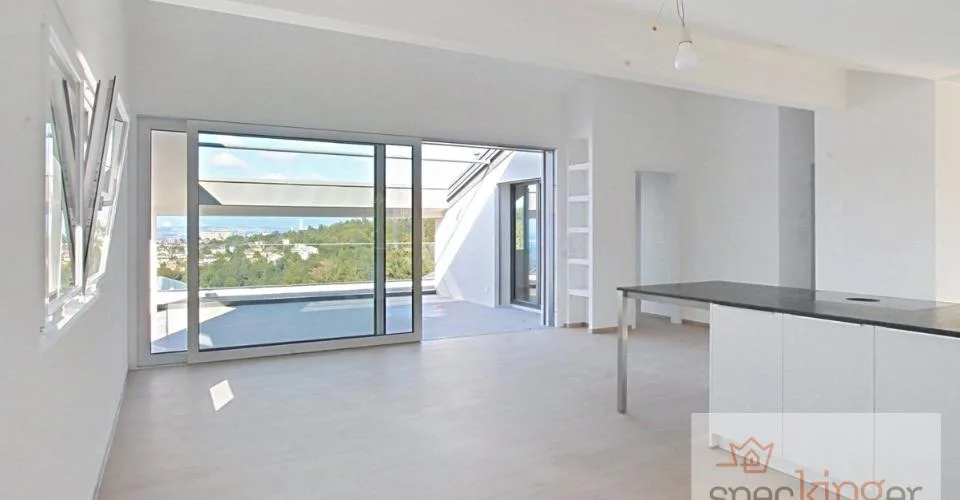 Lumineux appartement de 5,5 pièces, terrasse, très belle vue lac