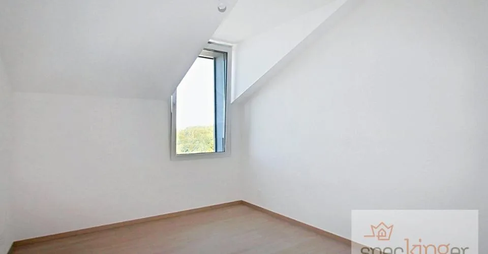 Lumineux appartement de 5,5 pièces, terrasse, très belle vue lac