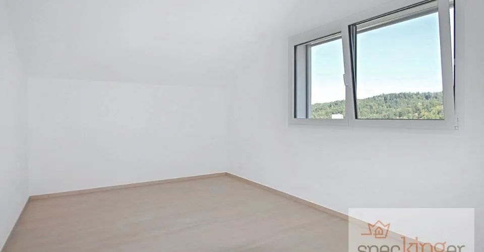 Lumineux appartement de 5,5 pièces, terrasse, très belle vue lac