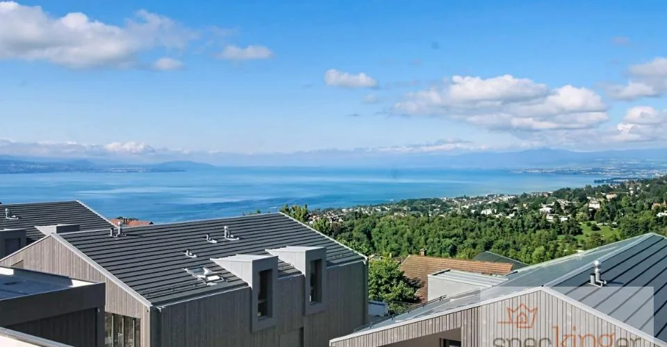 Lumineux appartement de 5,5 pièces, terrasse, très belle vue lac