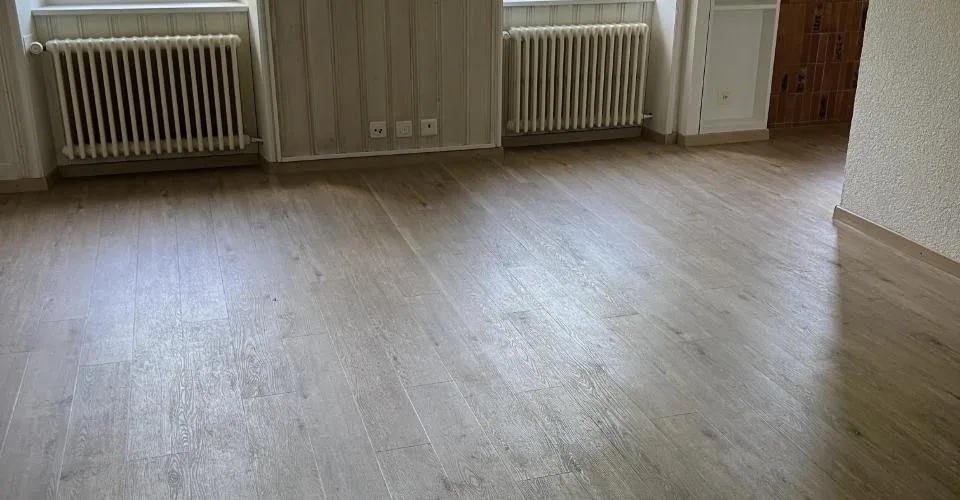 Appartement de 2,5 pièces