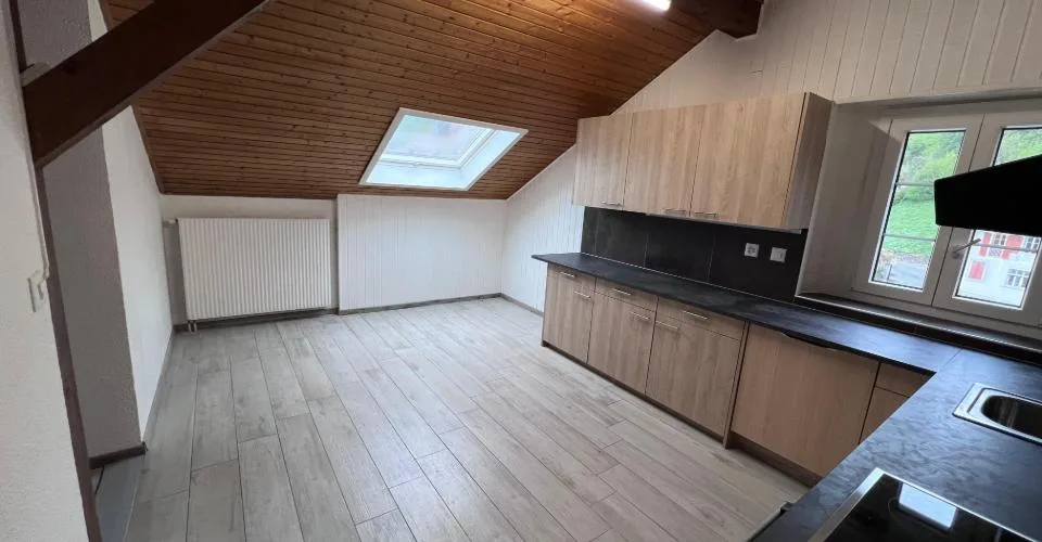 Grand appartement aux combles