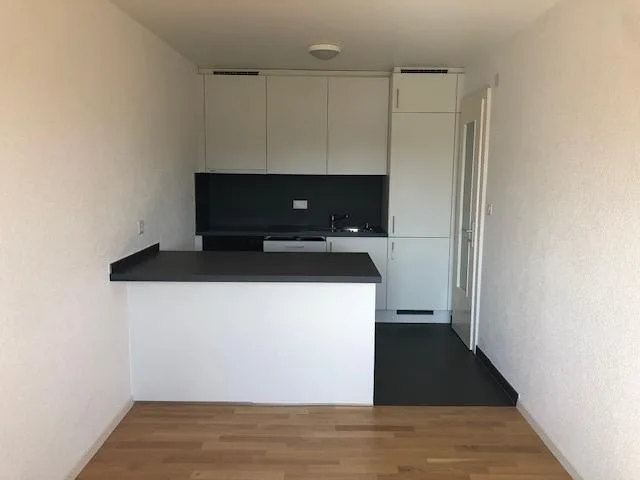 Bel appartement entièrement rénové de 4,5 pièces