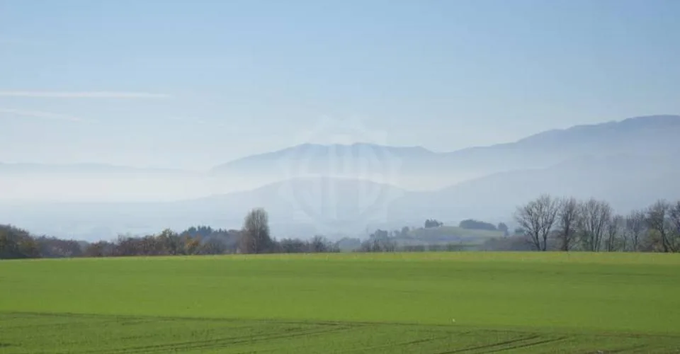 Ravissant appartement - Burtigny