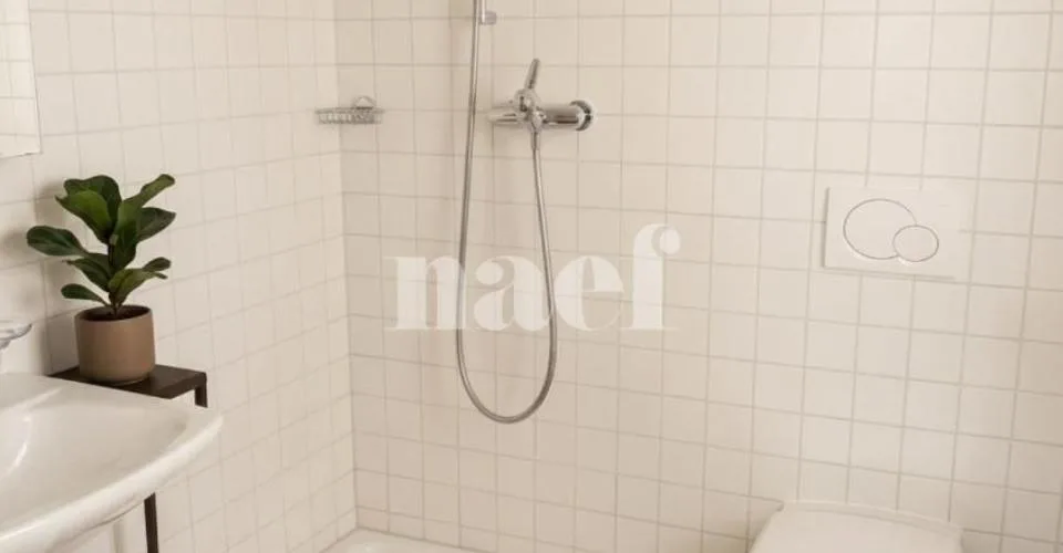 Bel appartement lumineux de 4.5 pièces au 3ème étage avec balcons