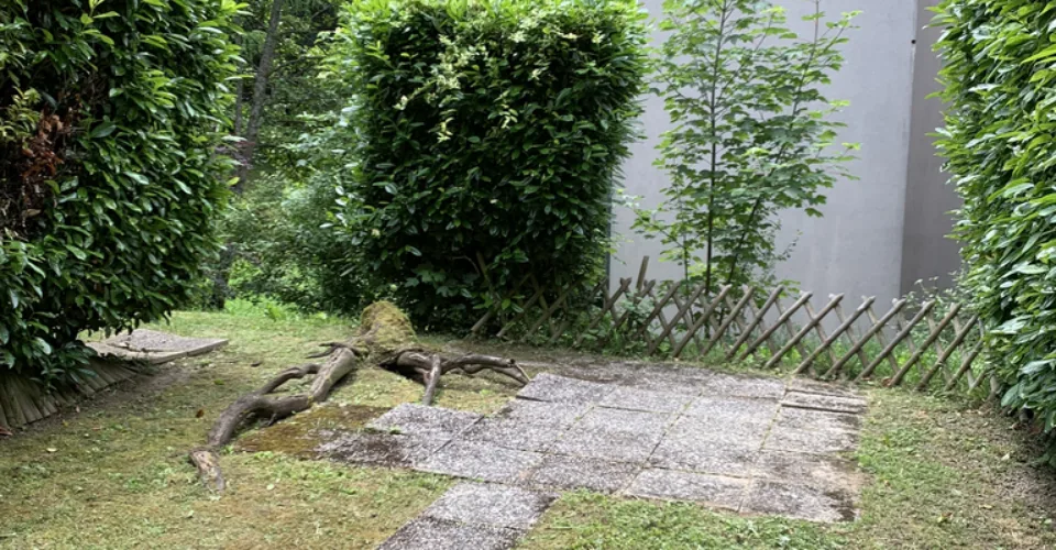 1 pièce avec jardin à Pully !