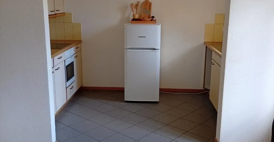 Bex : à louer charmant appartement de 3 pièces dans un quartier calme